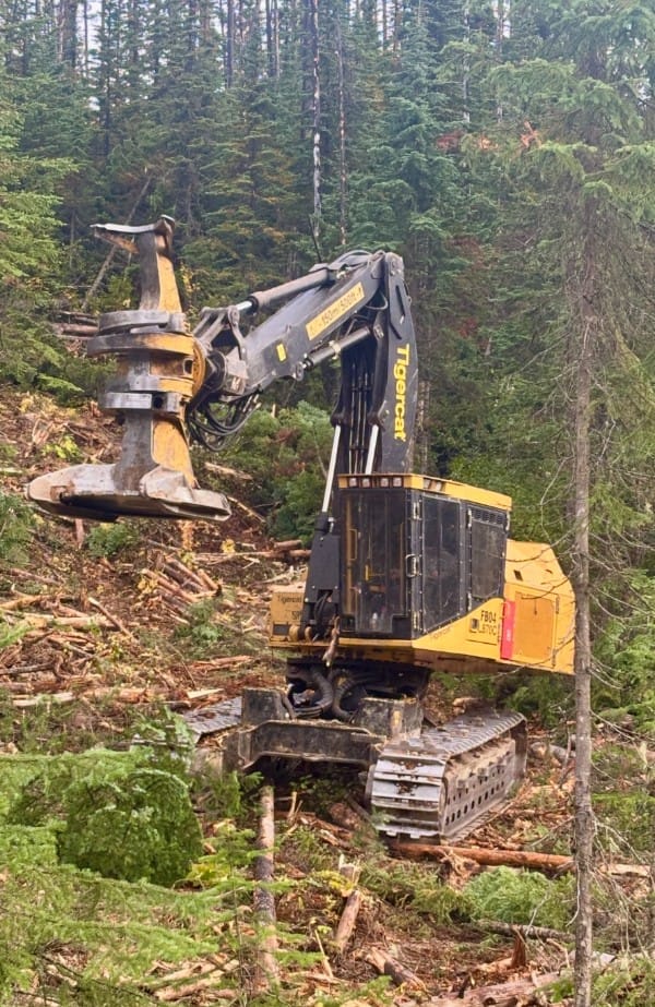 2017 Tigercat L870C Feller Buncher