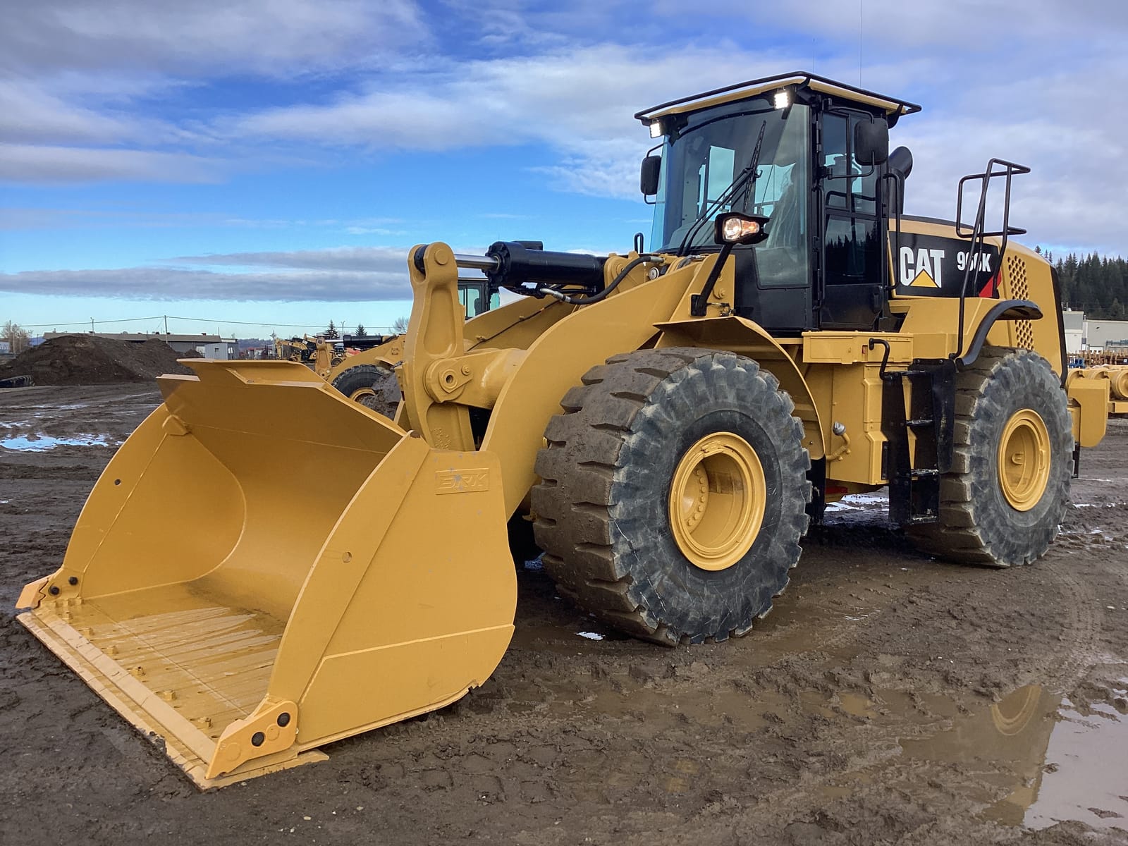 966K - TFS01296