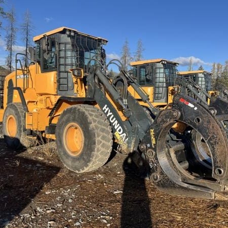 2019 HYUNDAI HL-955TM