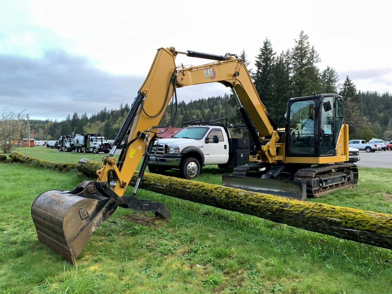 2022 Cat 308