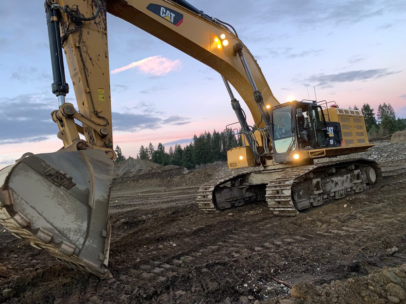 2019 Cat 390F