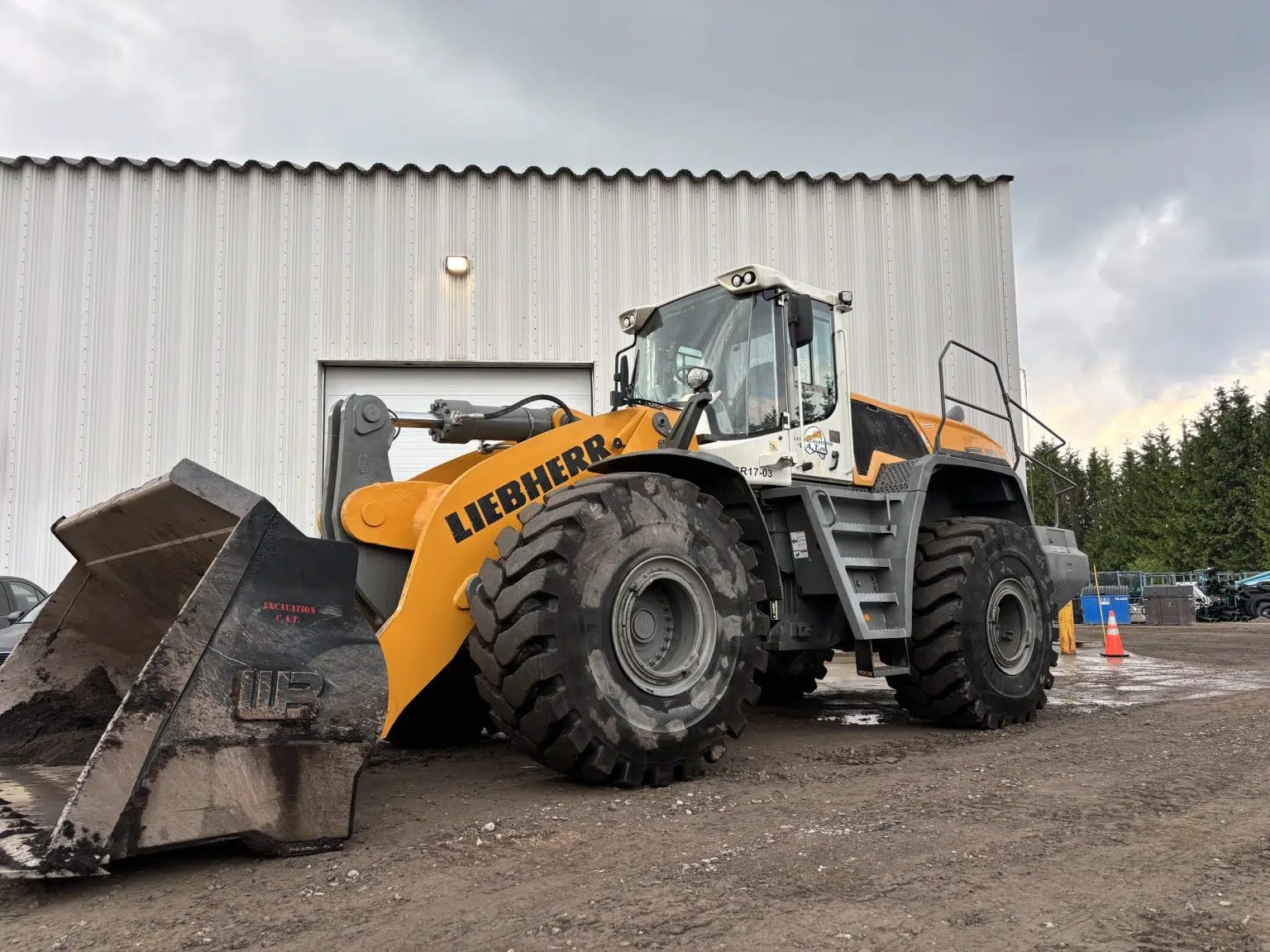 2017 Liebherr L586 X POWER