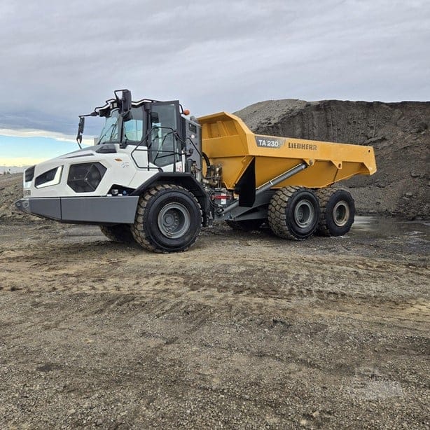 2022 LIEBHERR TA230 LITRONIC