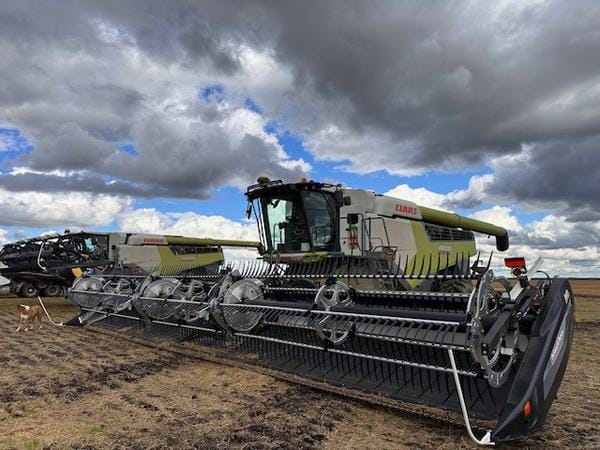 2020 Claas 8800